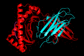 NovoProteinAI avatar