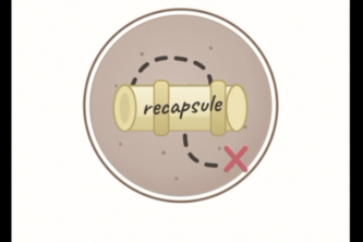 recapsule project cover