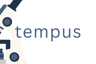 Tempus avatar