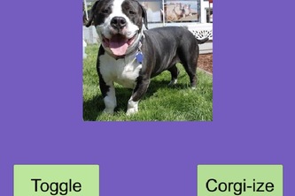 Corgiizer project cover