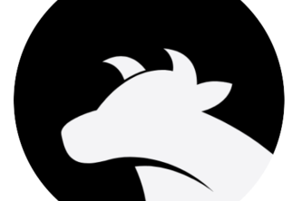 Bull Rider avatar