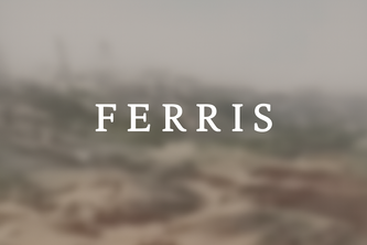 Ferris project cover