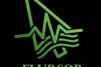 Flursor avatar