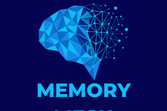 Memory Mesh project cover