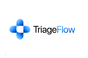 TriageFlow project cover
