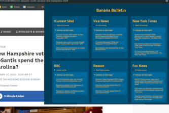 Banana Bulletin project cover
