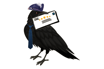 Review Raven project cover