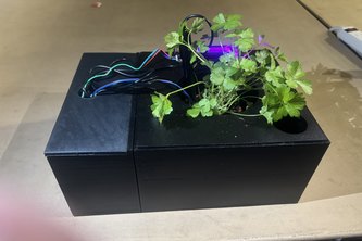 The Botanical Bots project cover