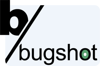 boring Bugshot project cover