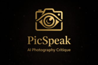 PicSpeak project cover