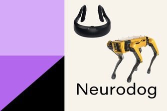 Neurodog project cover