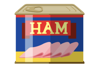 No Scam, Only Ham project cover