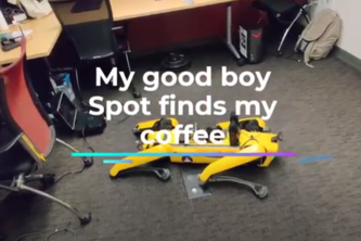 Spot my good boy project cover