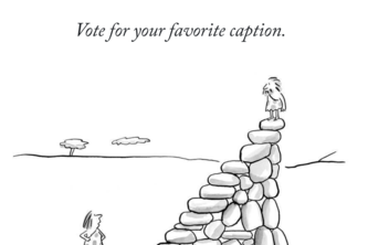 The New Yorker Caption Club project cover
