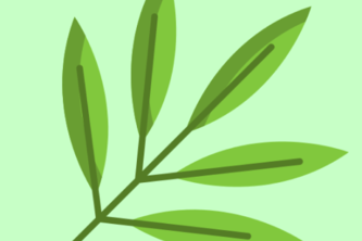 sage project cover