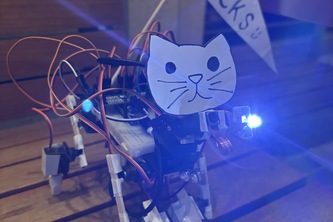 The Cat avatar
