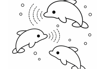 EcholoKernel project cover