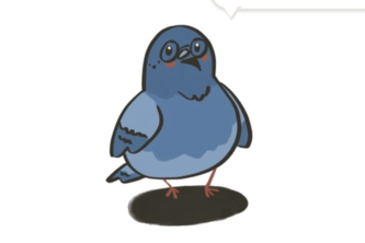 pigeonhole project cover