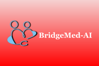 BridgeMed-AI project cover
