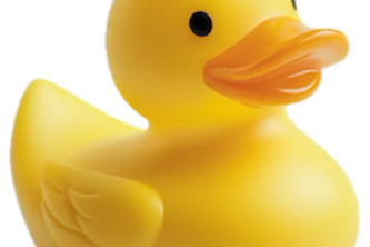 Ducky AI: Duolingo For Deaf Individuals project cover
